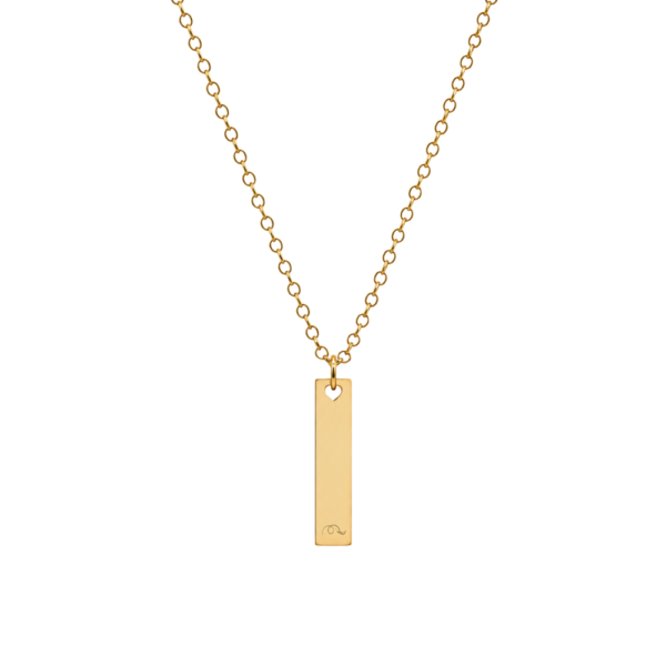 Collana Tag personalizzabile con incisione verticale SerenaBi