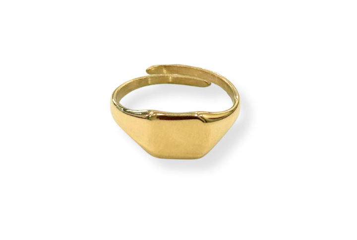 Anellino quadrato liscio in acciaio placcato oro SerenaBi