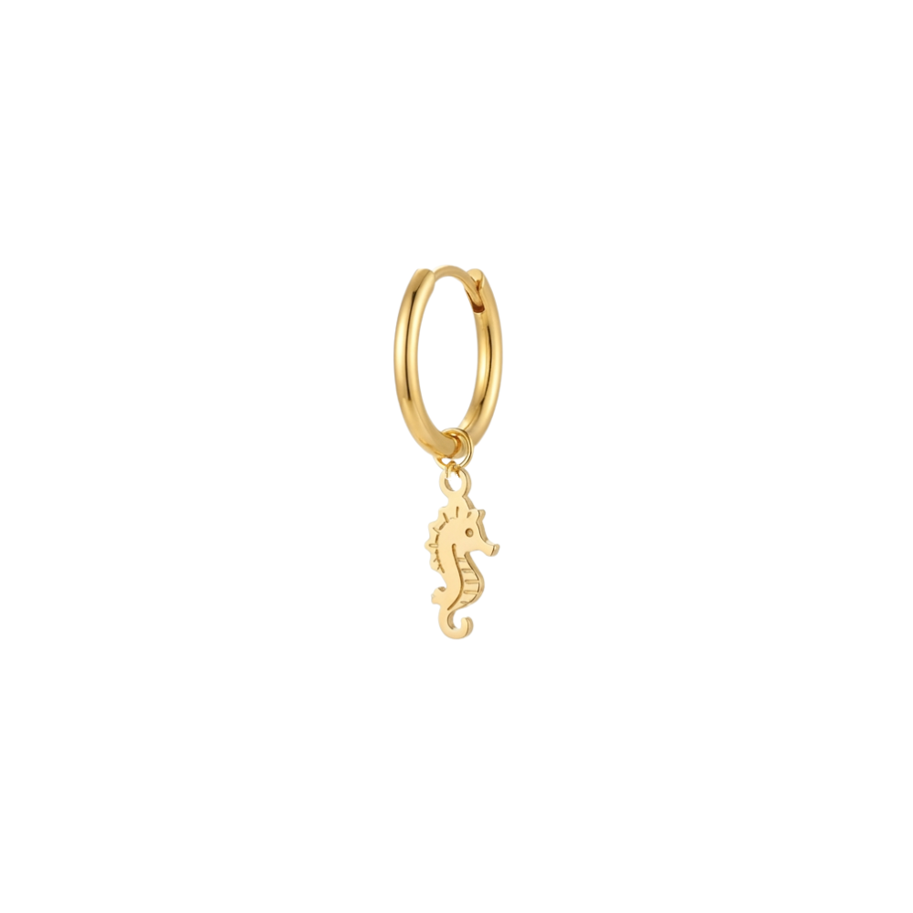 Orecchini Maree Hoops SerenaBi
